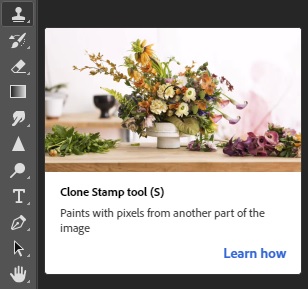 Adobe Photoshop clone stamp tool