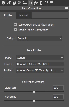 adobe camera raw lens correction selection panel